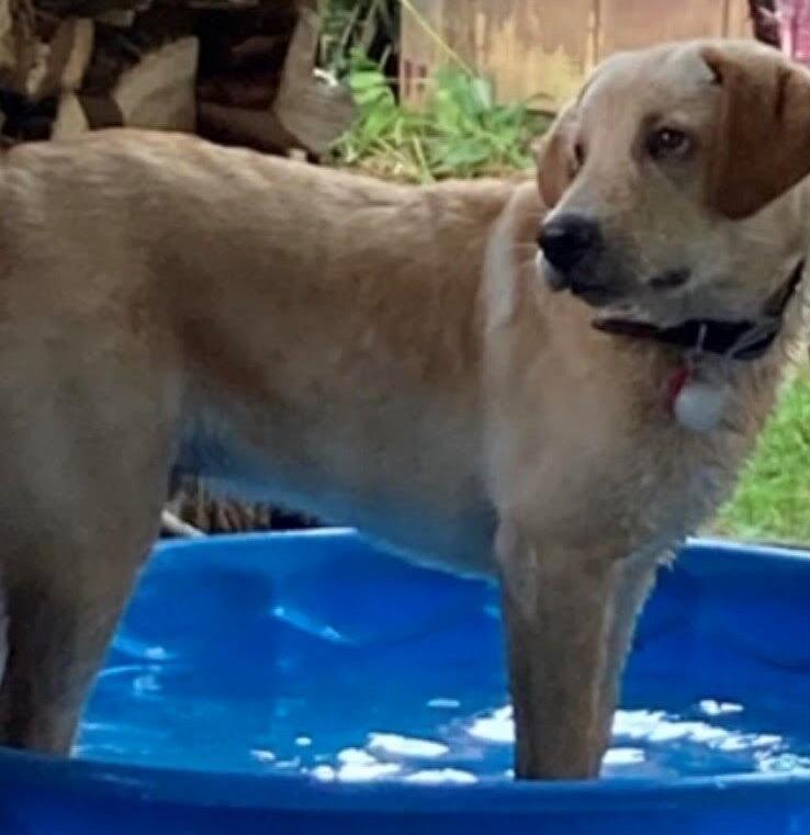 Brody standing in a swimming pool